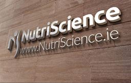 Laminate on Foam Letters