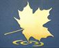 Polished Brass Logo